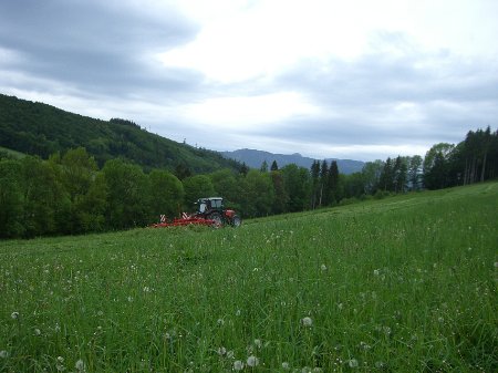 CIMG3393