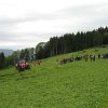 IMG_0397